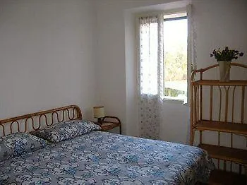 Rosas Alghero