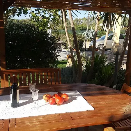 Rosas Villa Alghero